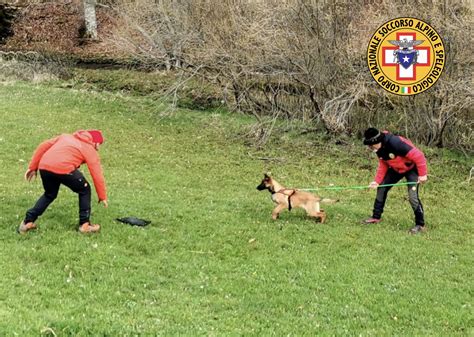 L Abruzzo partecipa all addestramento delle unità cinofile del Soccorso