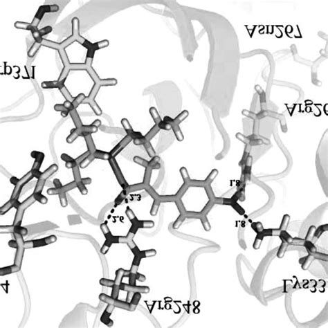 Molecular Docking Interaction Model For Complex 3 With Download