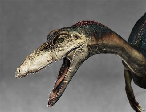 Coelophysis - ZBrushCentral