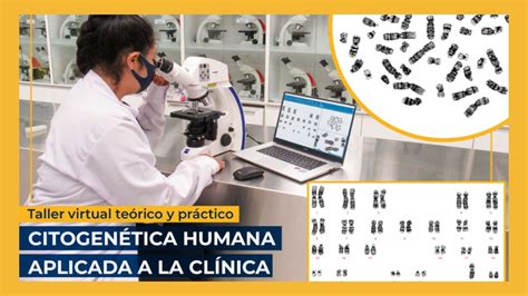 Medicina Humana Ofrecer Un Curso Virtual Sobre Citogen Tica Humana