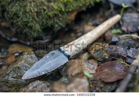 Homo Habilis Made Stone Tools Photos and Images | Shutterstock