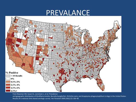 Ppt Heartworm Disease Powerpoint Presentation Free Download Id2066943