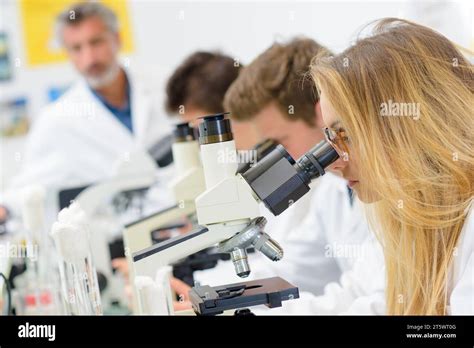 Science Students Looking Into Microscopes Stock Photo Alamy