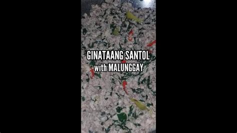 Ginataang Santol Na May Malunggay Youtube