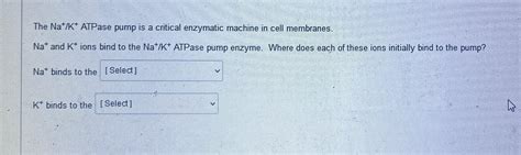 Solved The Na+K+ATPase pump is a critical enzymatic machine | Chegg.com