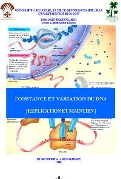 CONSTANCE ET VARIATION DU DNA REPLICATION ET MAINTIEN UNIVERSITE CADI