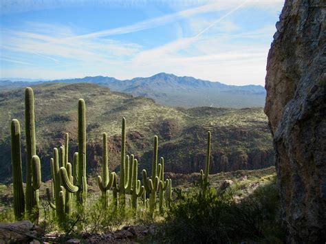 Saguaro National Park: East versus West - Time.Travel.Trek.