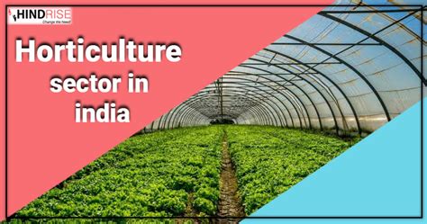 Horticulture Sector In India The Sky Is The Limit Hindrise