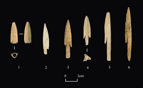 Examples Of Bone Arrowheads From Shirenzigou 1 Specimen From