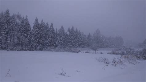 12月21日未明から22日にかけて大雪のおそれ 平野部でも積雪警戒 福岡筑後のローカルメディア 筑後いこい