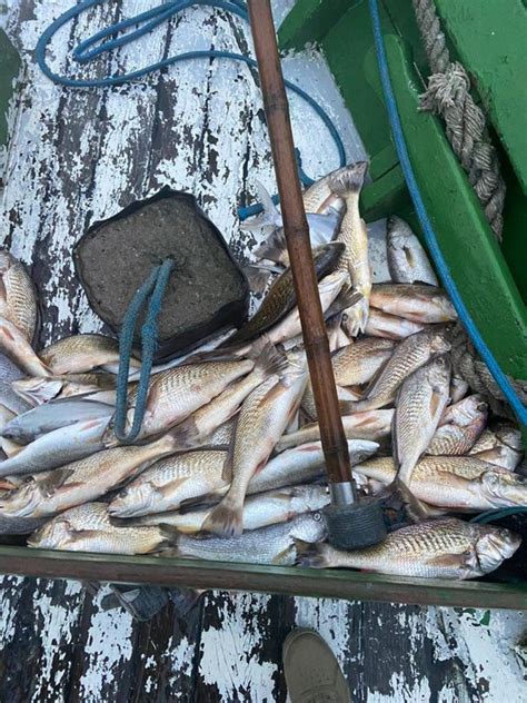 Pol Cia Federal Apreende Seis Toneladas De Pescados Capturados