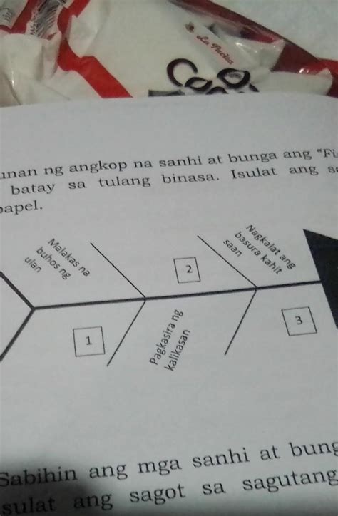 CorB Panuto Punan Ng Angkop Na Sanhi At Bunga Ang Fishbone Diyagram