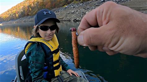 Fine Fall Fishing Ned Rigs Drop Shots Jerkbaits Catch Everything