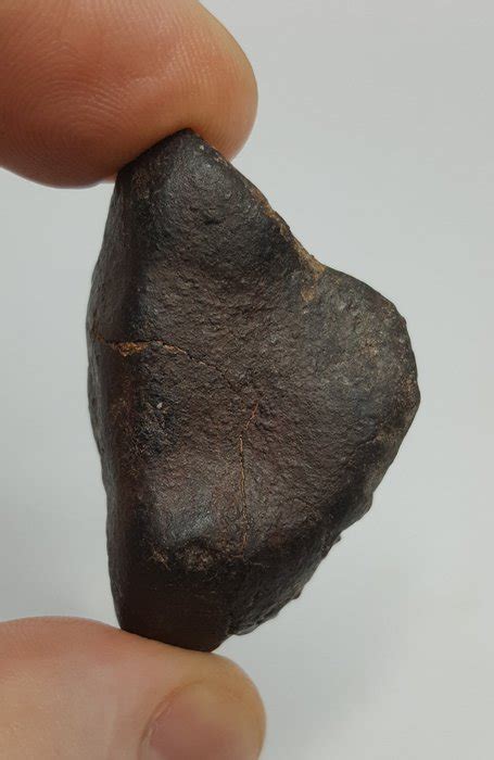 Meteorite Nwa High Iron Content Winonaite Primitive Catawiki