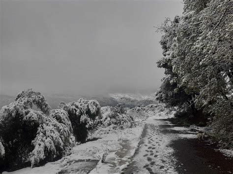 En imágenes la provincia de Jaén se tiñe de blanco con nieve en todas