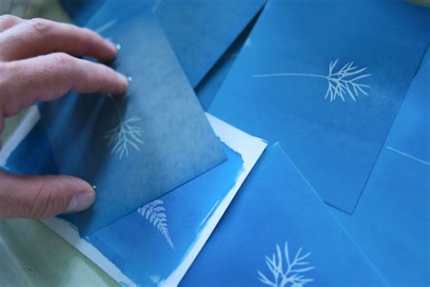 Comment Bien Rincer Un Cyanotype Tout Pour Le Cyanotype