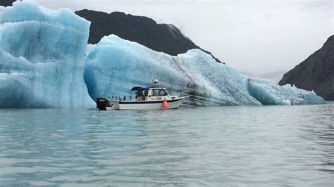 Alaska Sightseeing and Whale Watching | Fairweather Adventures at Glacier Bay, Gustavus Alaska