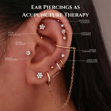 Rook Vs Daith Piercings Compared Which Should You Choose Artofit