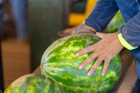 Making The Most Of A Trip To The Farmers Market Austin County News Online