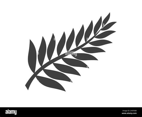 Fern Or Palm Leaf Black Icon Vector Illustration Stock Vector Image