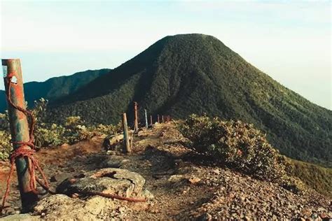 Pendaki Dilaporkan Hilang Kontak Di Gunung Pangrango Bogor Tim Sar