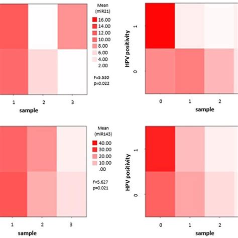 Comparative Heat Map Analysis Of Hpv Positive And Negative Tumors