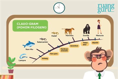 Belajar Biologi Apa Itu Pohon Filogeni Malangpost Id