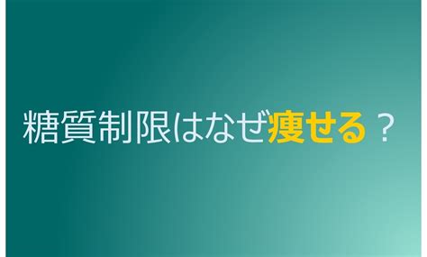 糖質制限はなぜ痩せるのか？ マサオのブログ