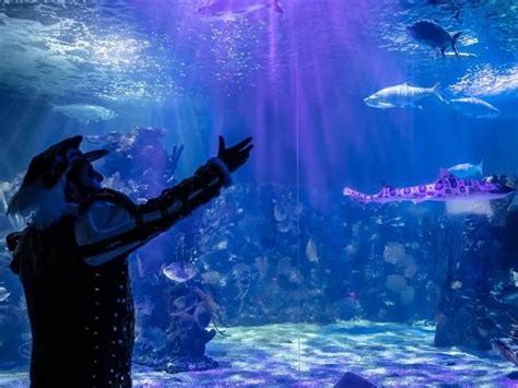 Celebra Dia De Muertos En La Noche De Leyendas Del Acuario Inbursa