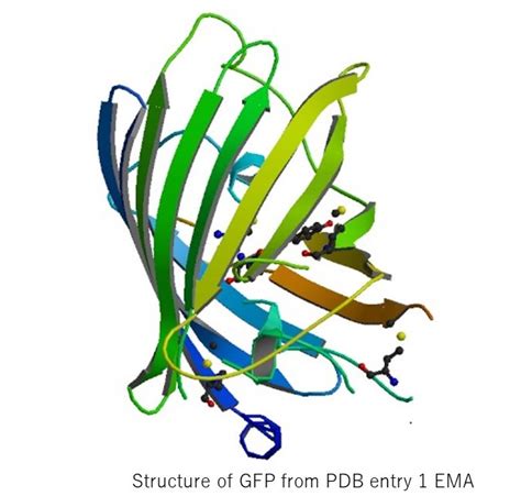 Features And Applications Of Cpl Circularly Polarized Luminescence