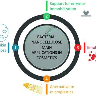 General properties and applications of bacterial nanocellulose ...