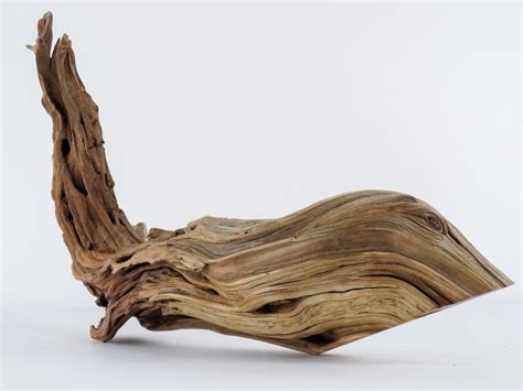 Manzanita Log With Root End 24 Great Driftwood For Aquascaping You