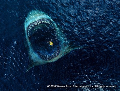 ジェイソン・ステイサムが水中で新たな魅力を発揮！映画「meg ザ・モンスター」 ニュース王国