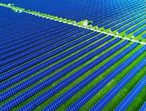 Acme Renew Win Msedcls 500 Mw Solar Auction Asia Pacific