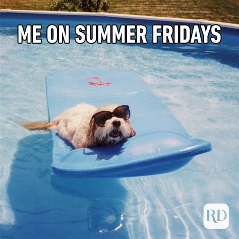 25 Funny Summer Memes We Can All Relate To | Reader's Digest