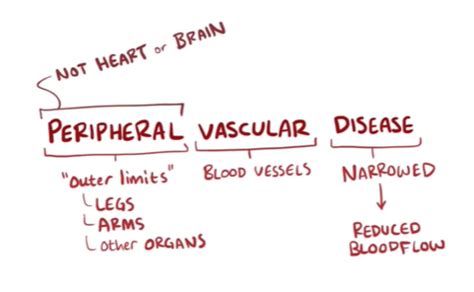 Clin Med Arterial Venous Disorders Flashcards Quizlet