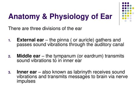 Ppt The Ear Powerpoint Presentation Free Download Id 4587477