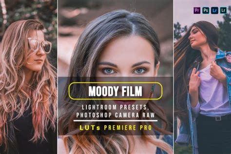 Moody Film Presets And Luts Graphic By Zhidayat Creative Fabrica