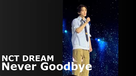 K Nct Dream Never Goodbye The Dream Show Dream Scape