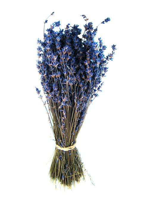 Dried Lavender Bouquets - Home Essentials | Lavender Ranch