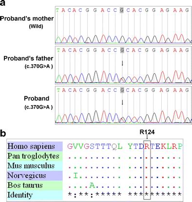 Sequence Of The Polymerase Chain Reaction Product Of Exon In Tgfbi