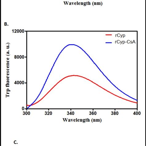 Structure And Shape Of Proteins Far Uv Cd Spectra A Intrinsic Trp