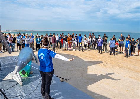 Miral And Yas SeaWorld Research Rescue Yas Island Abu Dhabi Clean