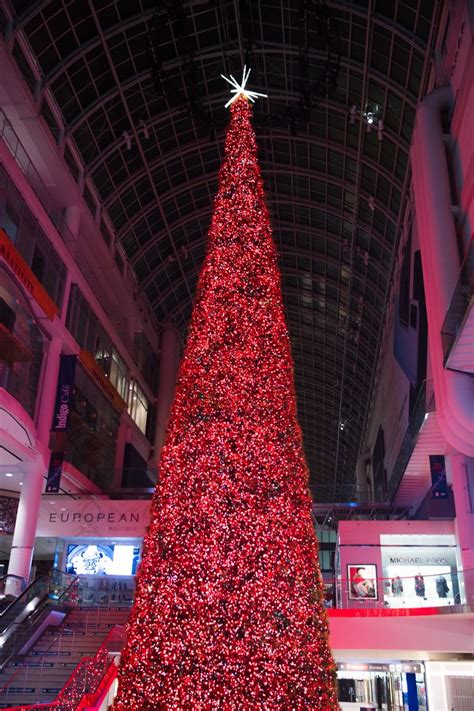 Toronto's 108-foot Christmas Tree unveiled at the Eaton Centre (PHOTOS ...