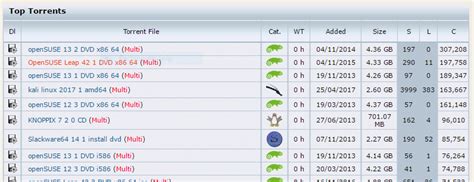 What Are Seeders, Leechers and Peers in Torrenting?