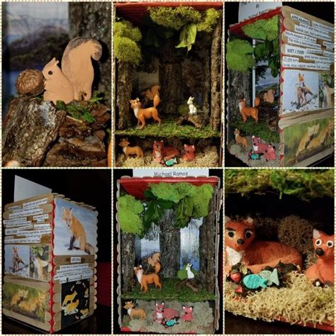 Red Fox Shoebox Diorama Redfox Shoebox School Diorama Diorama