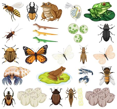 P Gina Im Genes De Insect Pests Descarga Gratuita En Freepik