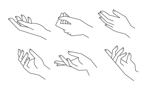 Aesthetic Hands Vector Linear Illustrations Stylized Elegant Hand Drawings With Different