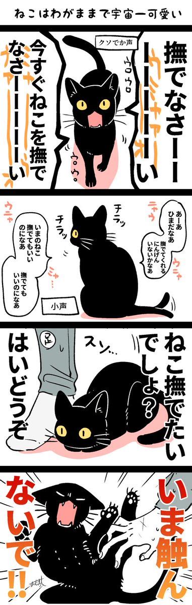 猫さんと暮らし始めて分かったこと『宇宙一かわいい』撫でてアピールする猫さんとの日常「可愛いの天才」 Togetter トゥギャッター