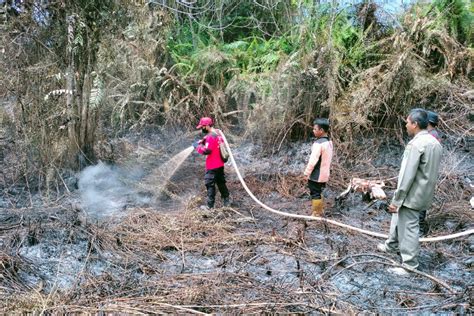 56 Titik Panas Terdeteksi Di Wilayah Kaltim ANTARA News Kalimantan Barat